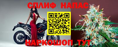 эйфоретик Белореченск