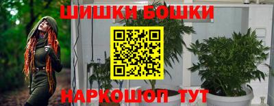 прущие грибы Азнакаево