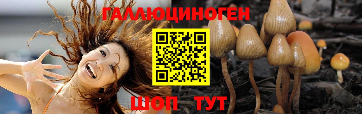 Октябрьский  Псилоцибиновые грибы Cubensis  Вход с VPN  где купить наркоту  Псилоцибиновые грибы мухоморы 