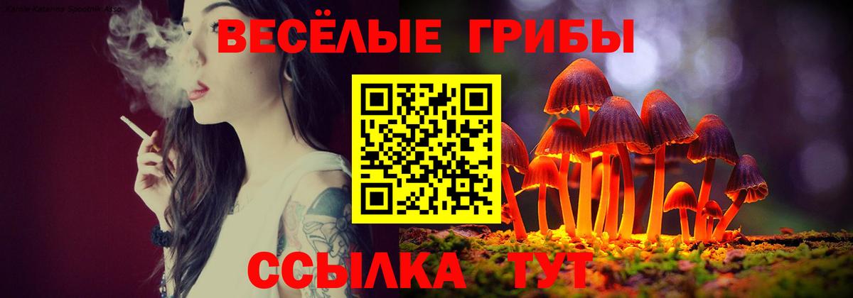 Псилоцибиновые грибы MAGIC MUSHROOMS  Псилоцибиновые грибы мицелий  Октябрьский 