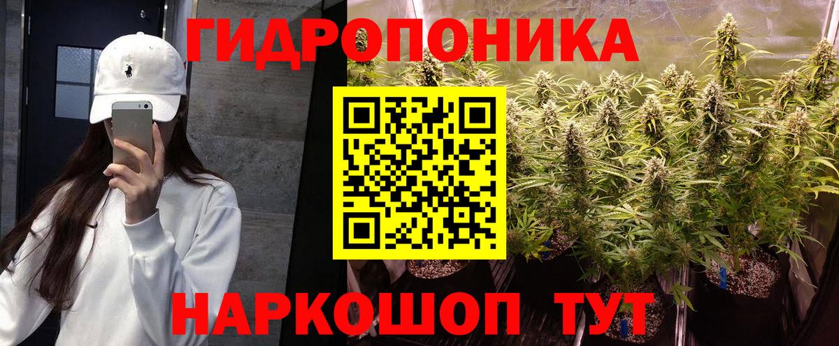 Шишки марихуана OG Kush  Конопля MAZAR  Октябрьский  Марихуана индика 